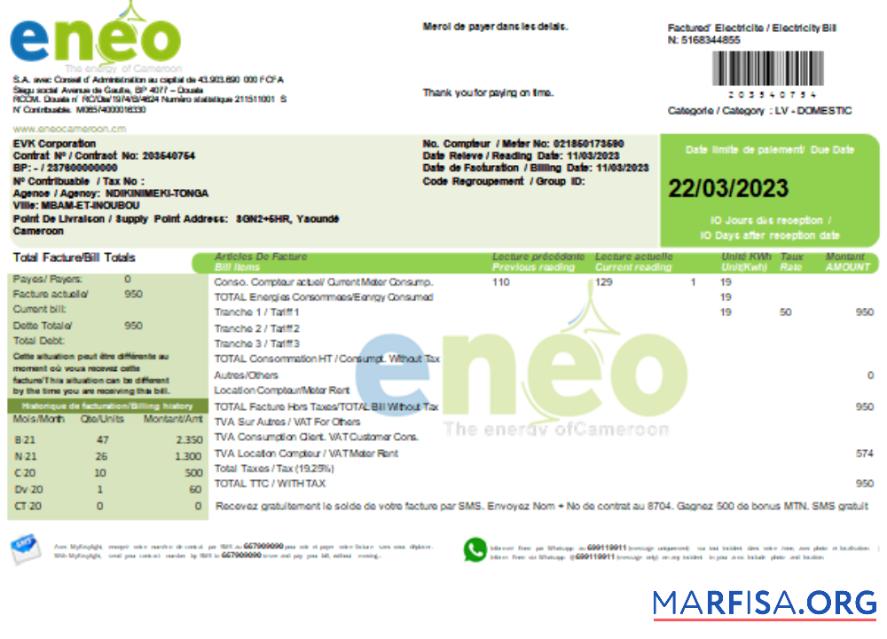 Realistic ENEO electricity utility business bill, SCR example
